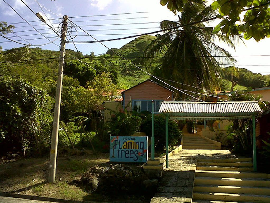 Hotel Flemming Tree Providencia Island Exteriér fotografie