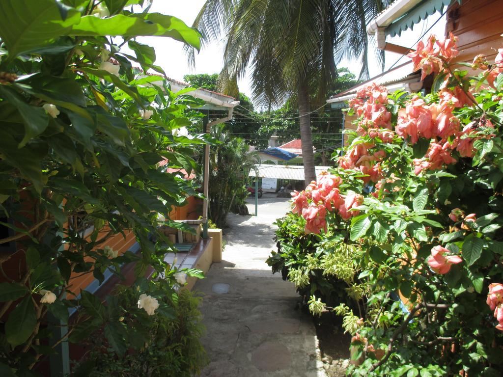 Hotel Flemming Tree Providencia Island Exteriér fotografie