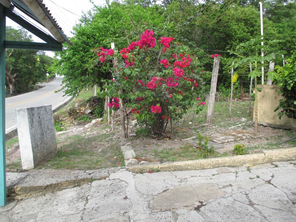 Hotel Flemming Tree Providencia Island Exteriér fotografie
