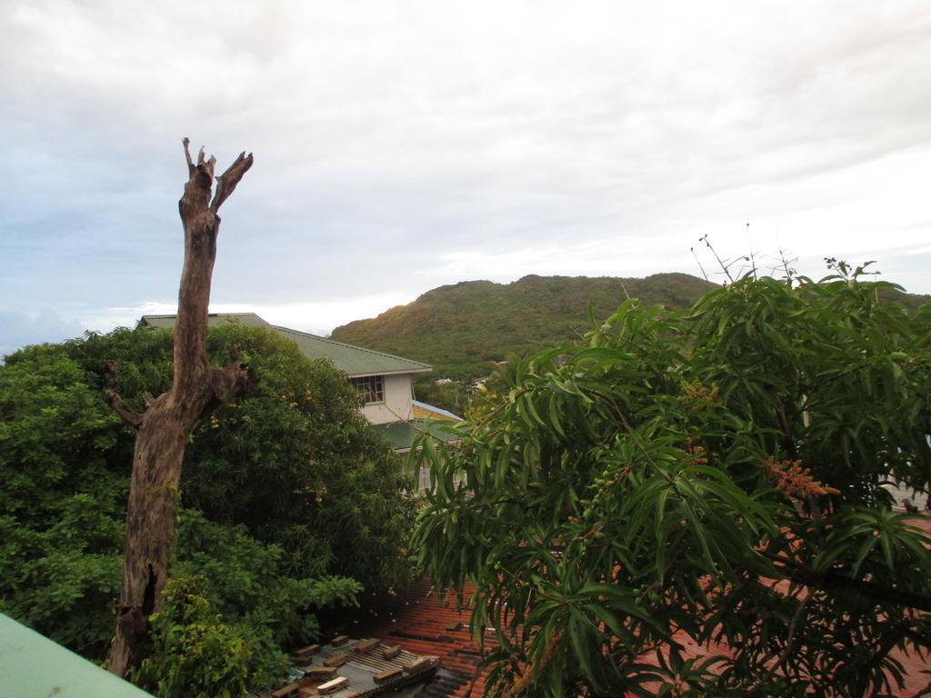 Hotel Flemming Tree Providencia Island Exteriér fotografie