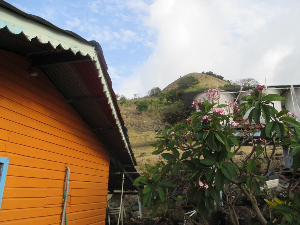 Hotel Flemming Tree Providencia Island Exteriér fotografie