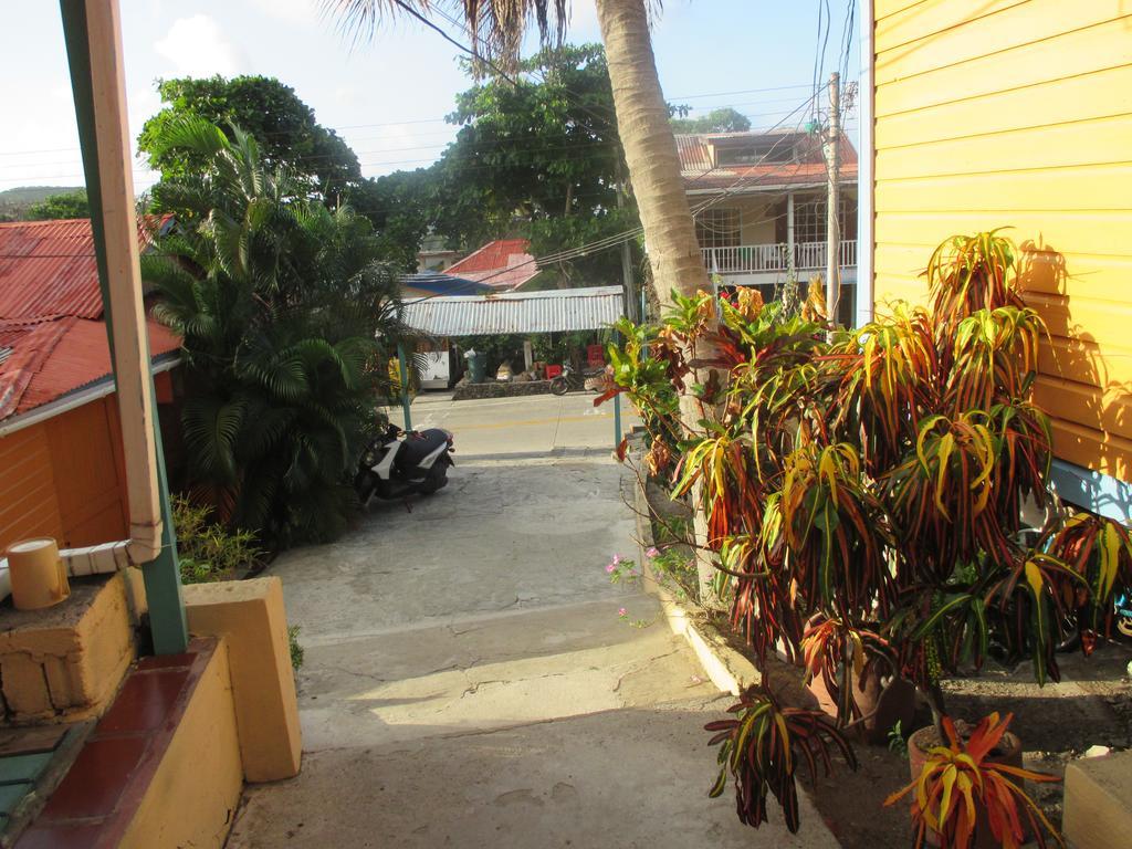 Hotel Flemming Tree Providencia Island Exteriér fotografie