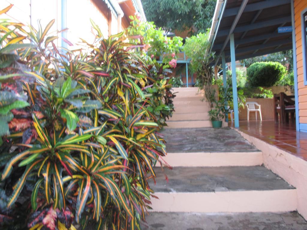 Hotel Flemming Tree Providencia Island Exteriér fotografie