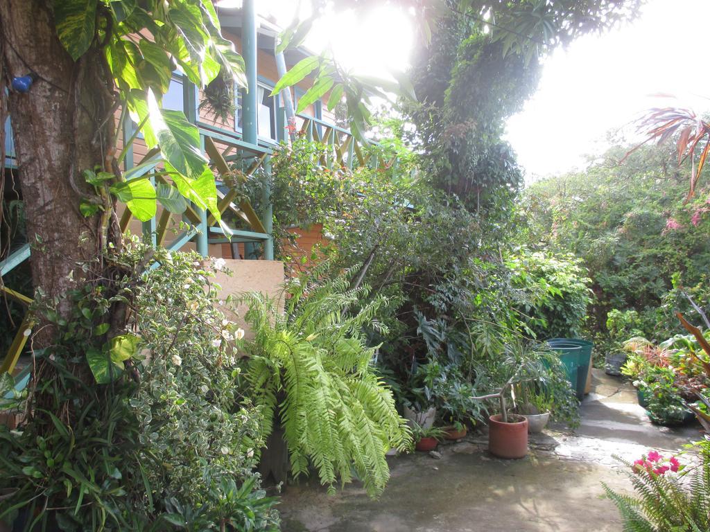 Hotel Flemming Tree Providencia Island Exteriér fotografie