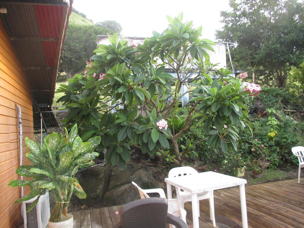 Hotel Flemming Tree Providencia Island Exteriér fotografie